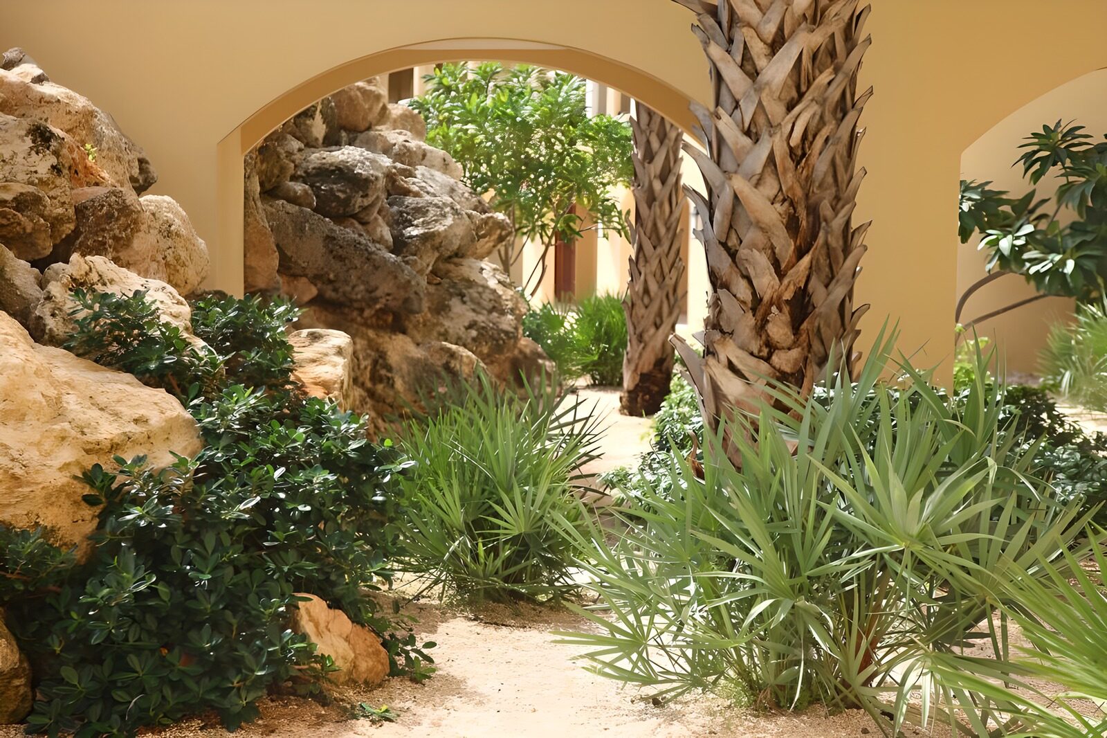 OCUK63029: Small bridge with rocks and palm trees