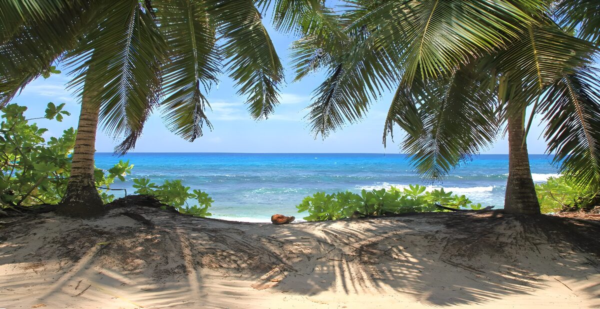 OCUK51650: Tropical Paradise by the Sea
