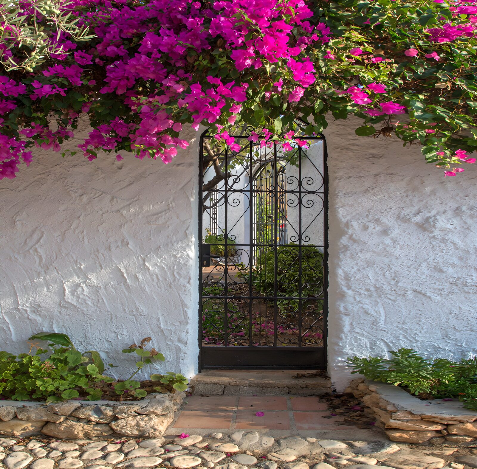 OCUK98599: Charming Entrance Framed by Bougainvillea