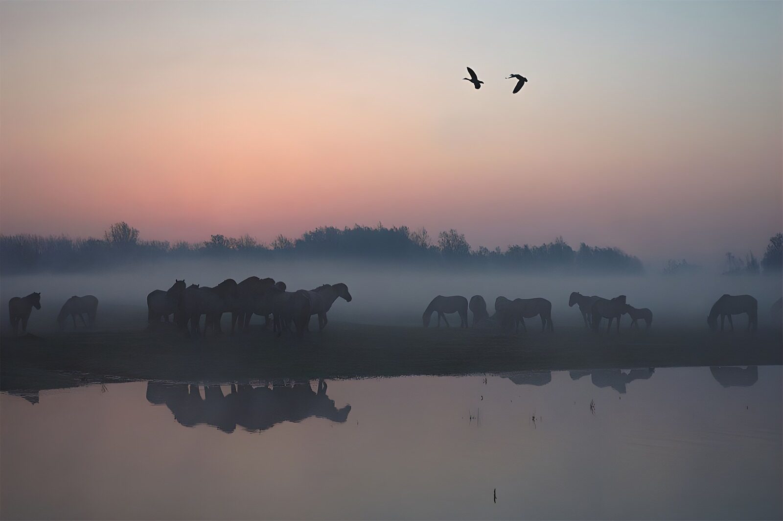 OCUK34213: Misty Dawn by the Water