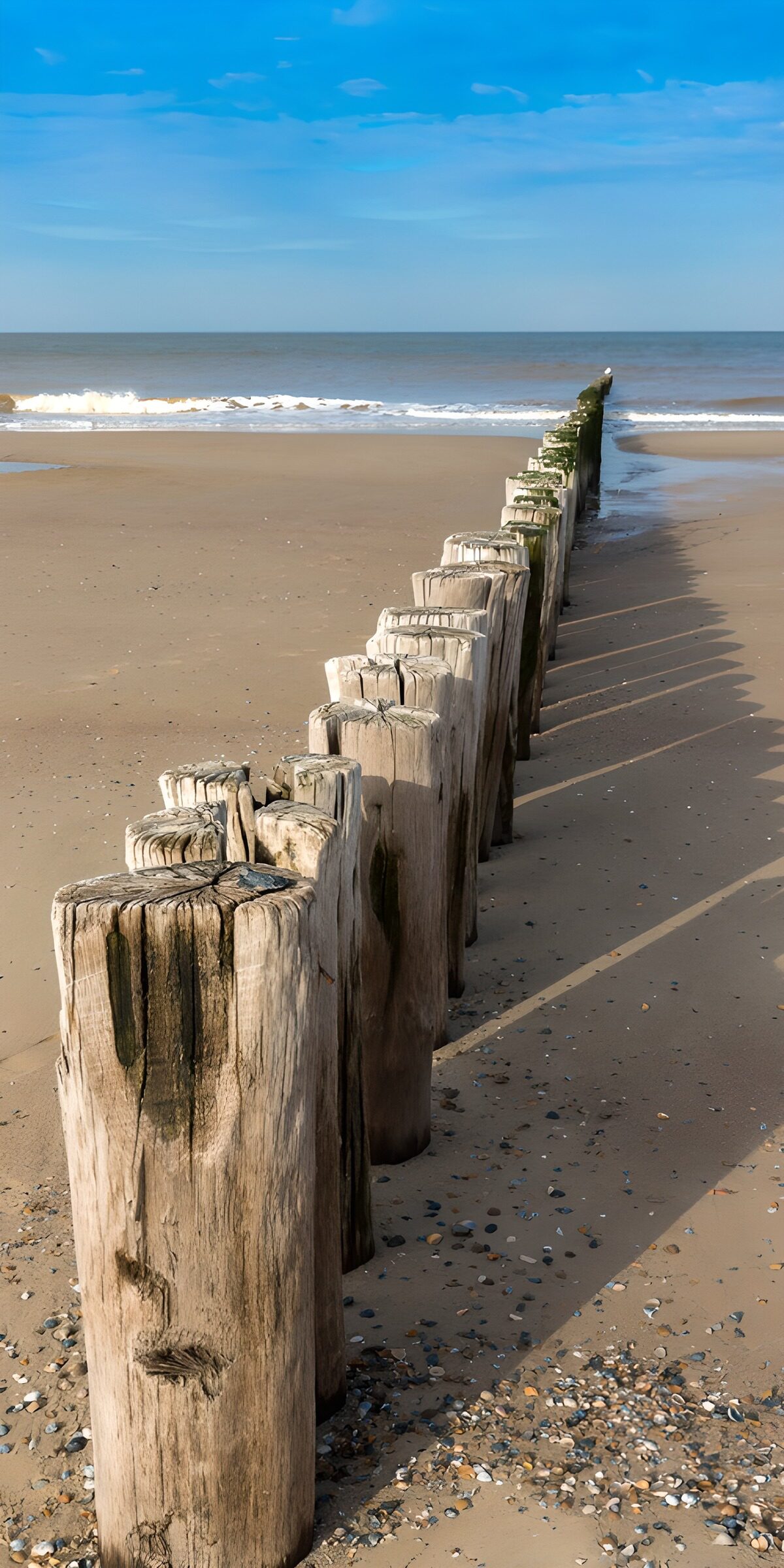 OCUK25899: Wooden Posts by the Shore