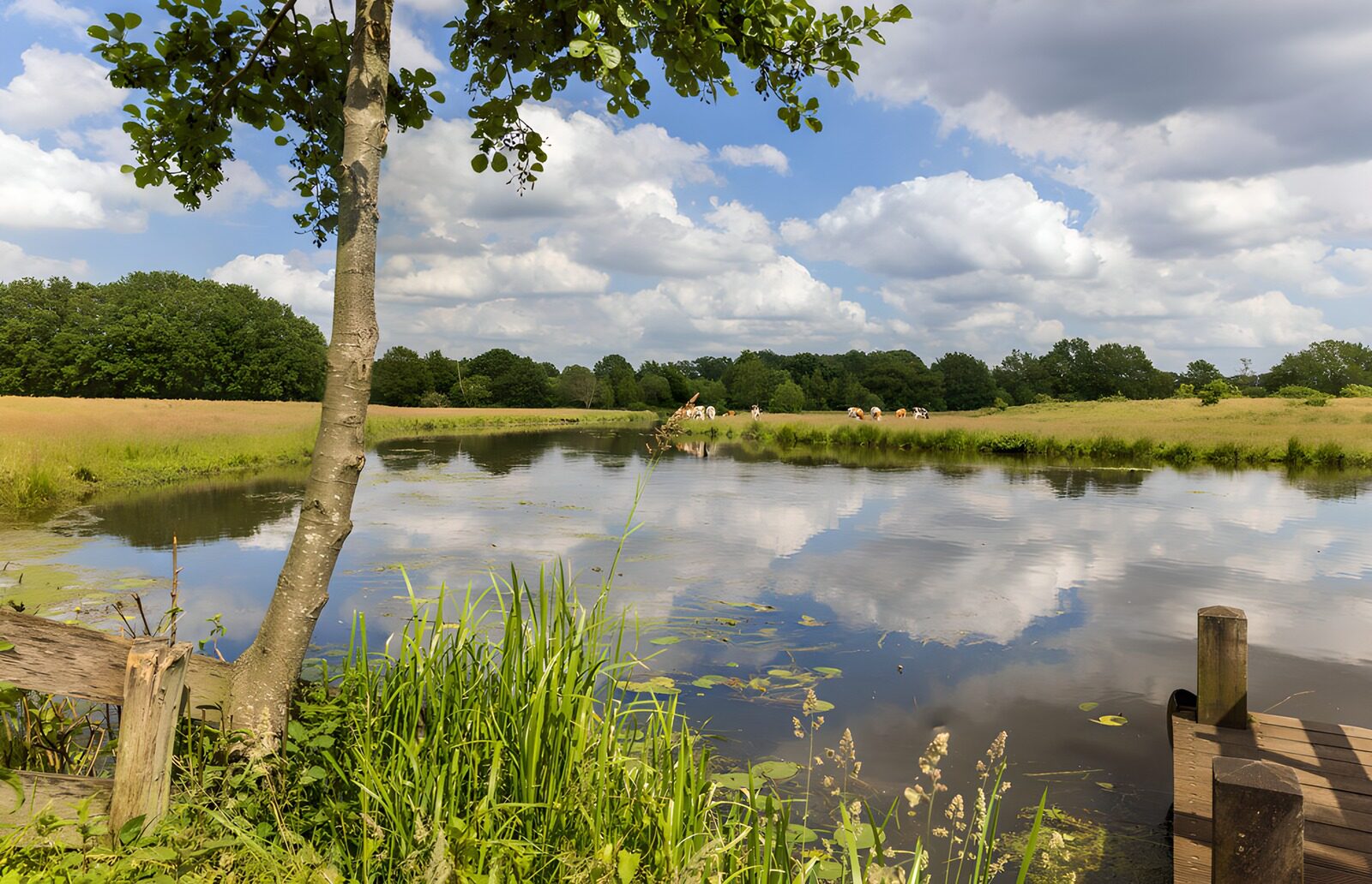 OCUK91031: Tranquil Reflection by the Waterside