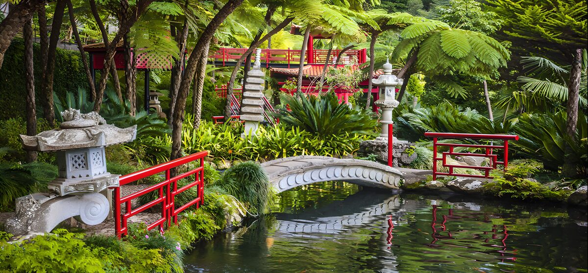 Tranquil Japanese Garden Oasis