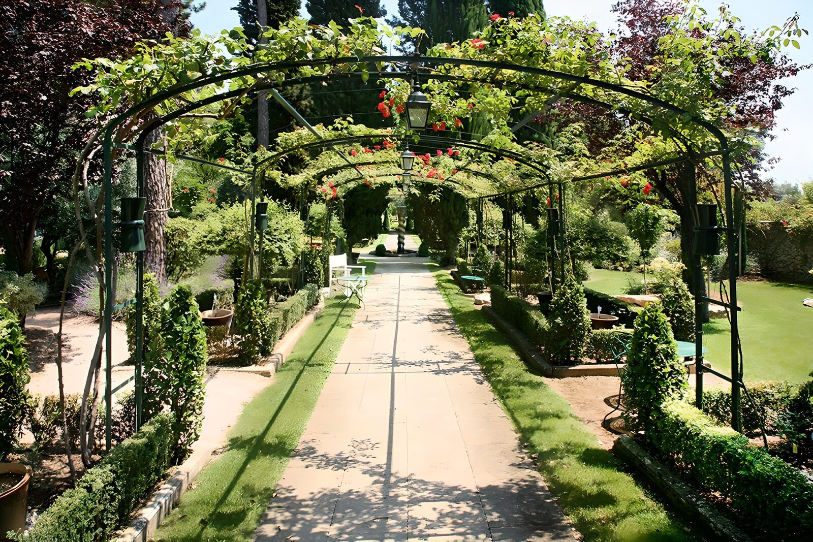 OCUK24299: Serene Garden Pathway
