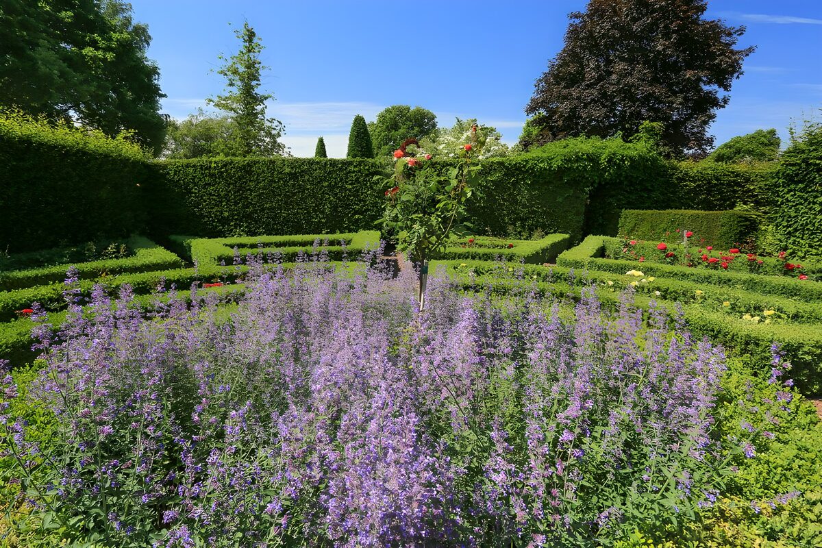 OCUK55046: Serene Floral Maze in Full Bloom
