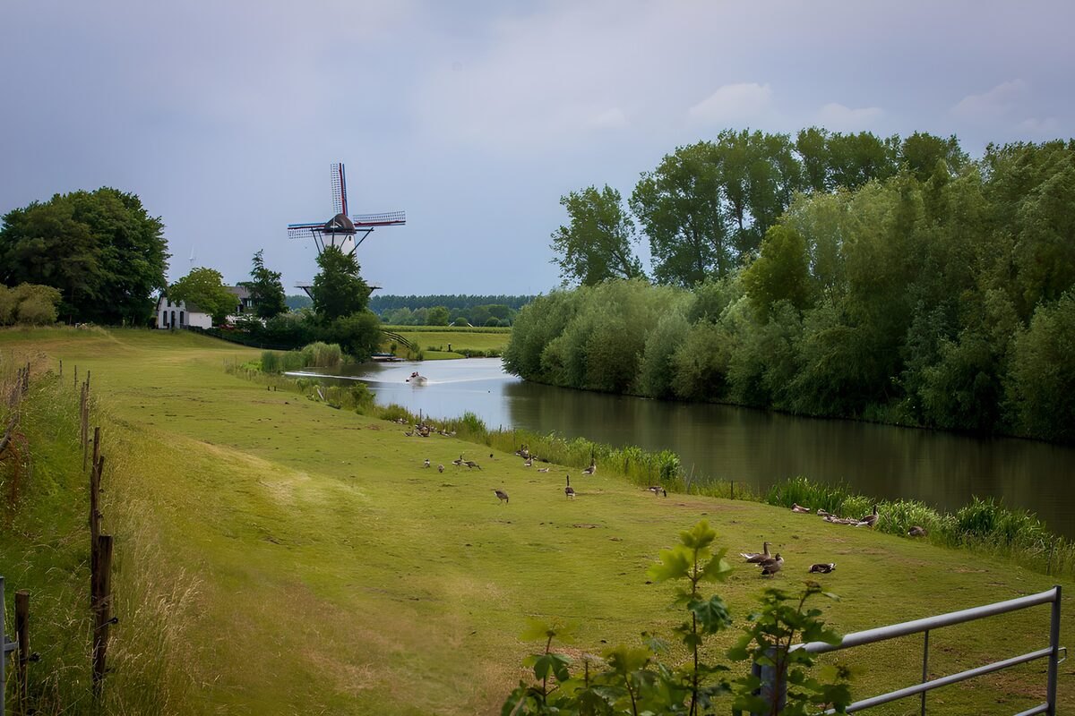 OCUK19933: Tranquil Dutch Landscape with Windmill