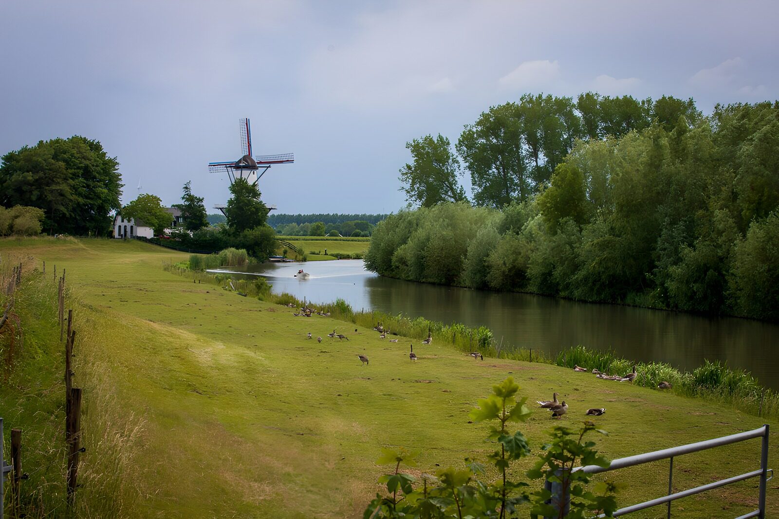 OCUK19933: Tranquil Dutch Landscape with Windmill