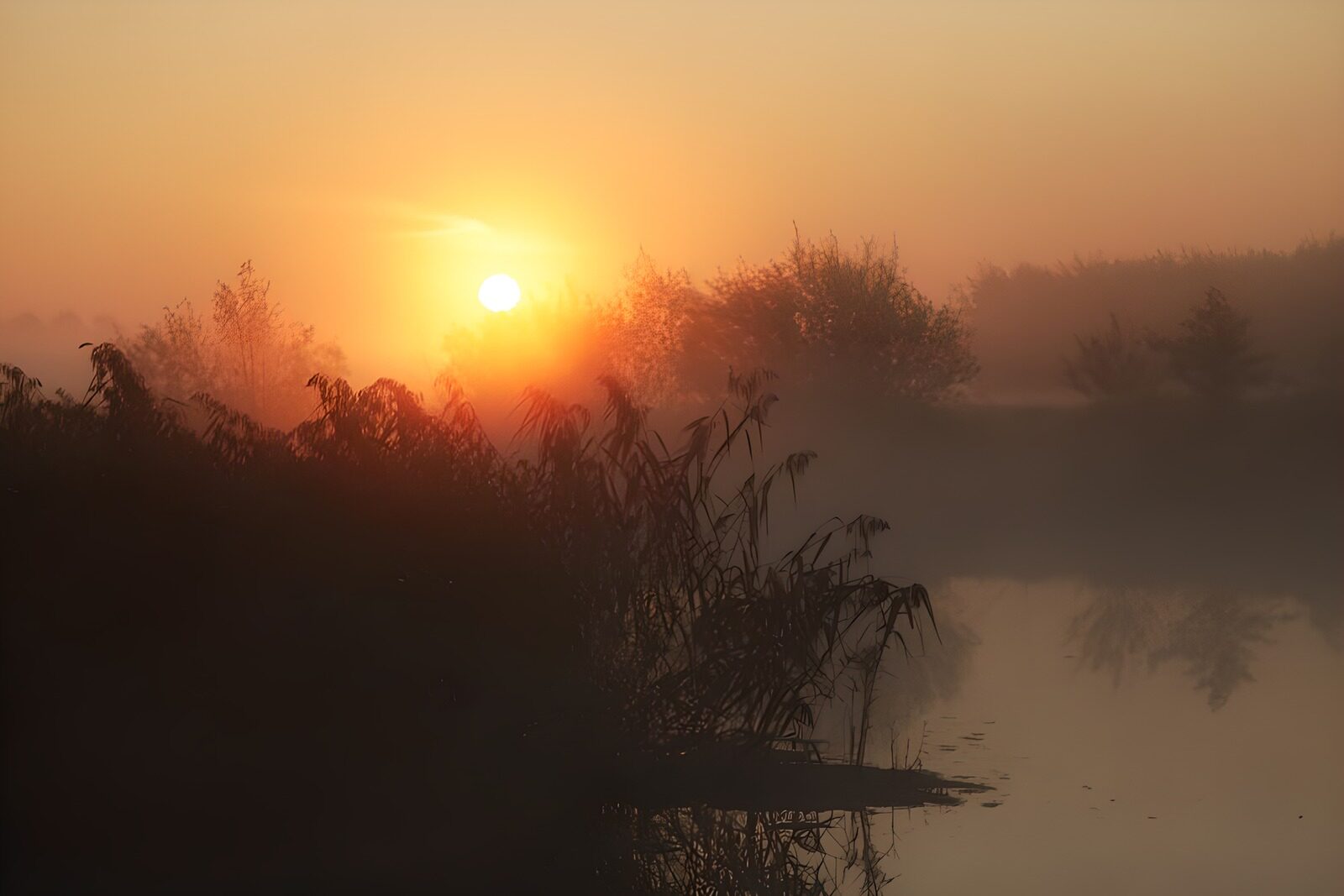 OCUK86554: Misty Sunrise Over Tranquil Waters