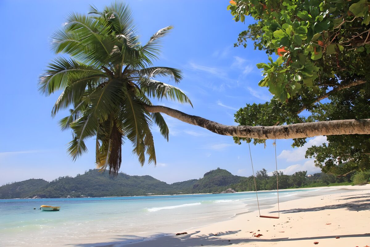 OCUK48586: Tranquil Beachside Swing Scene
