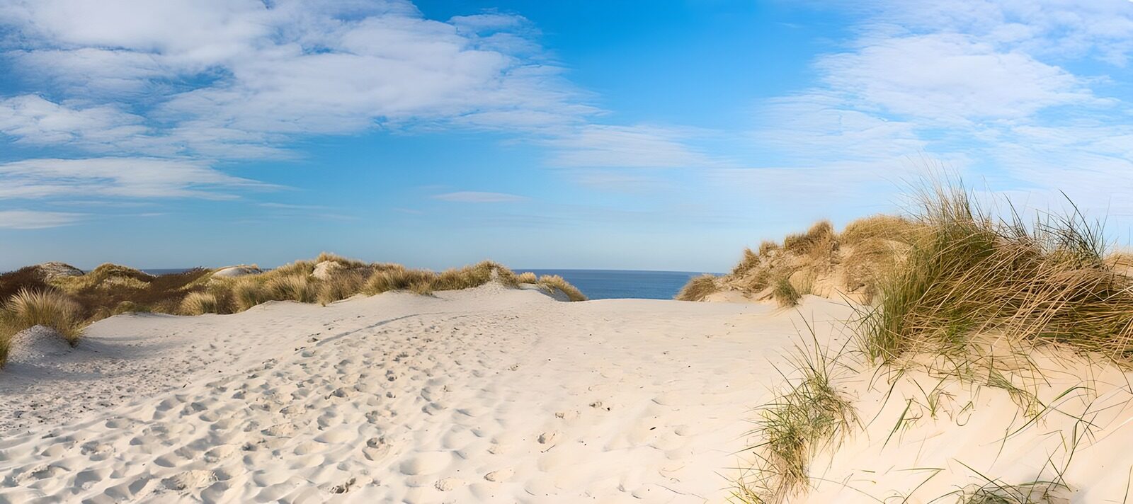 OCUK70606: Panorama of Dutch dunes
