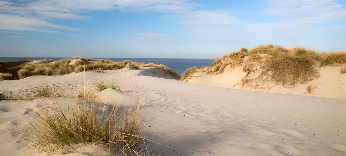 OCUK87809: Tranquil Coastal Dunes at Sunrise