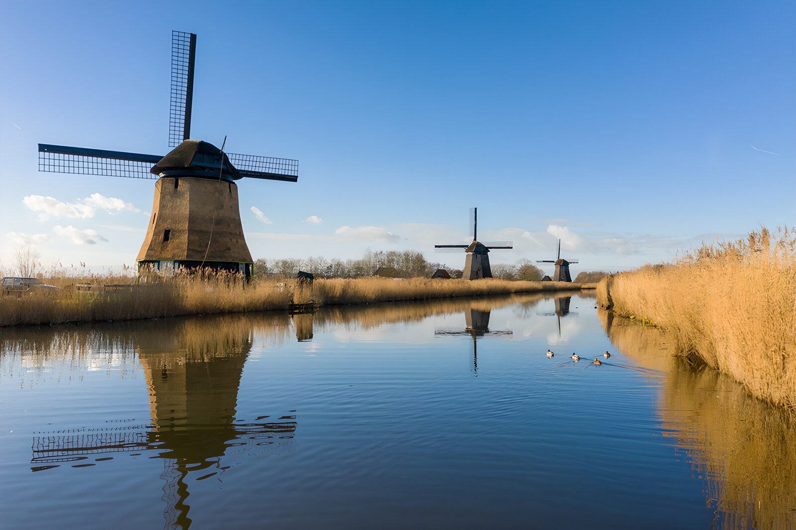 OCUK33926: Tranquil Dutch Windmills by the Water
