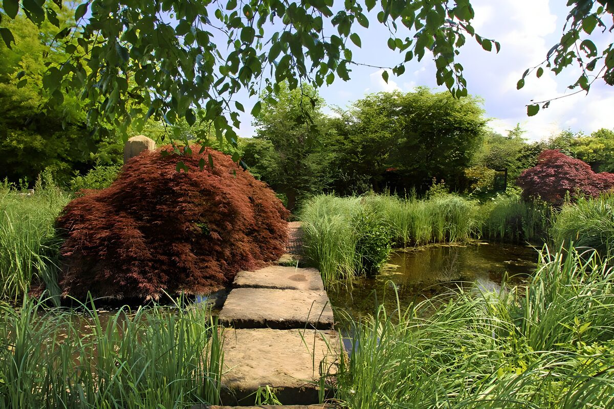 OCUK45082: Serene Garden Pathways
