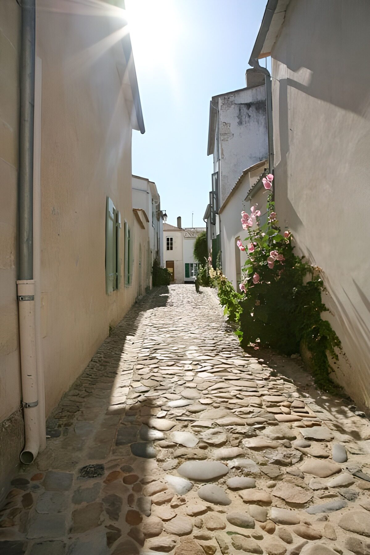 OCUK18501: Sunny view through the alley way with houses