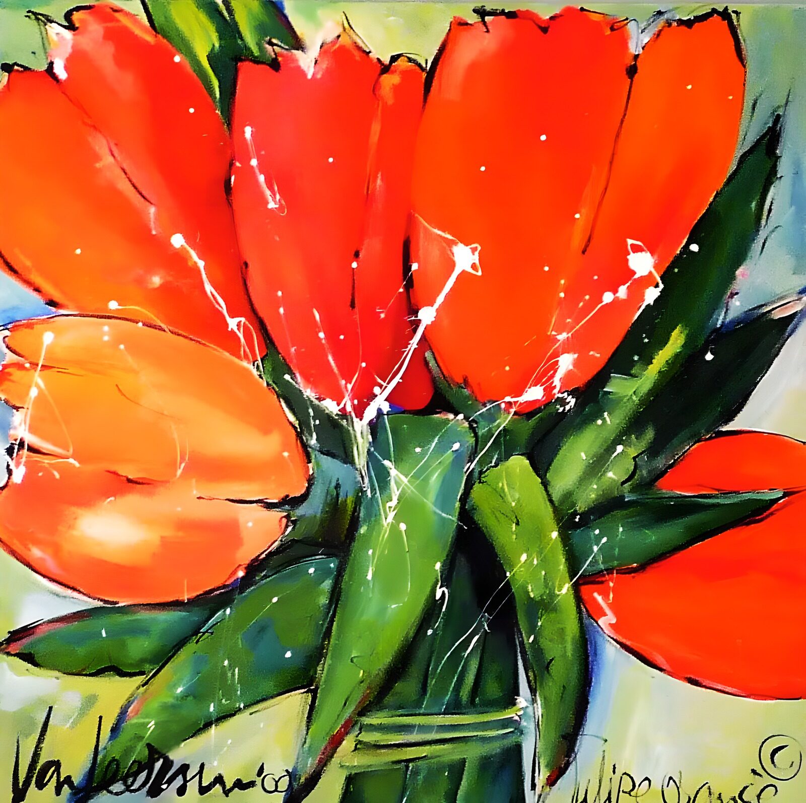 OCUK51854: Vibrant Orange Tulips in Bloom