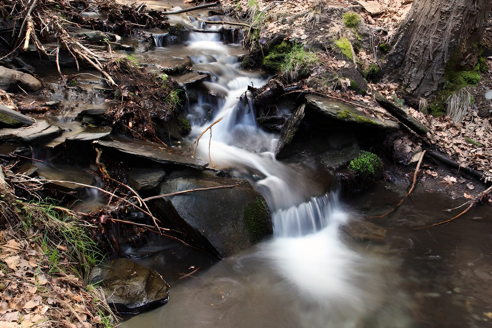 OCUK92126: Serene Stream in Nature's Embrace