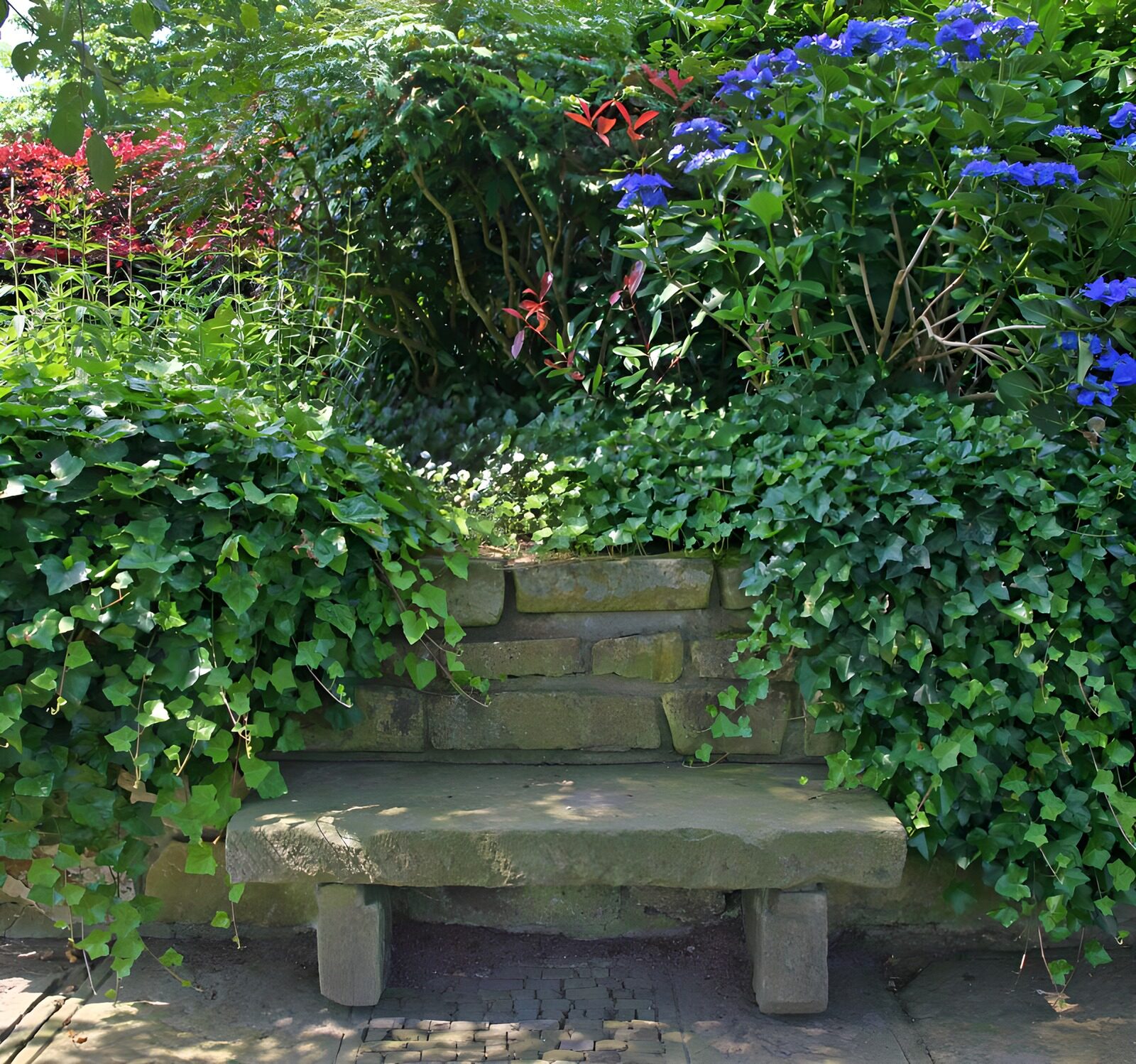 OCUK84812: Serene Garden Bench Amidst Lush Foliage