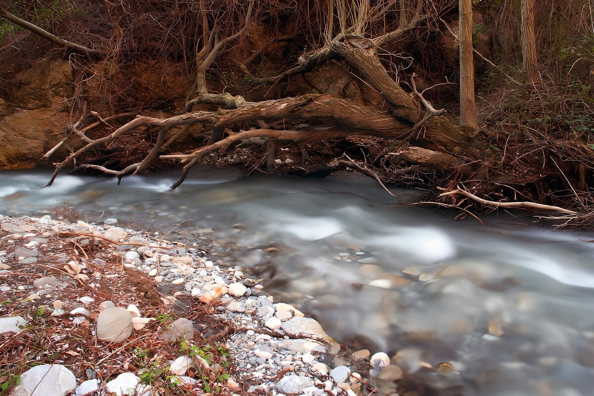 OCUK63779: Serene River Flow Through the Forest