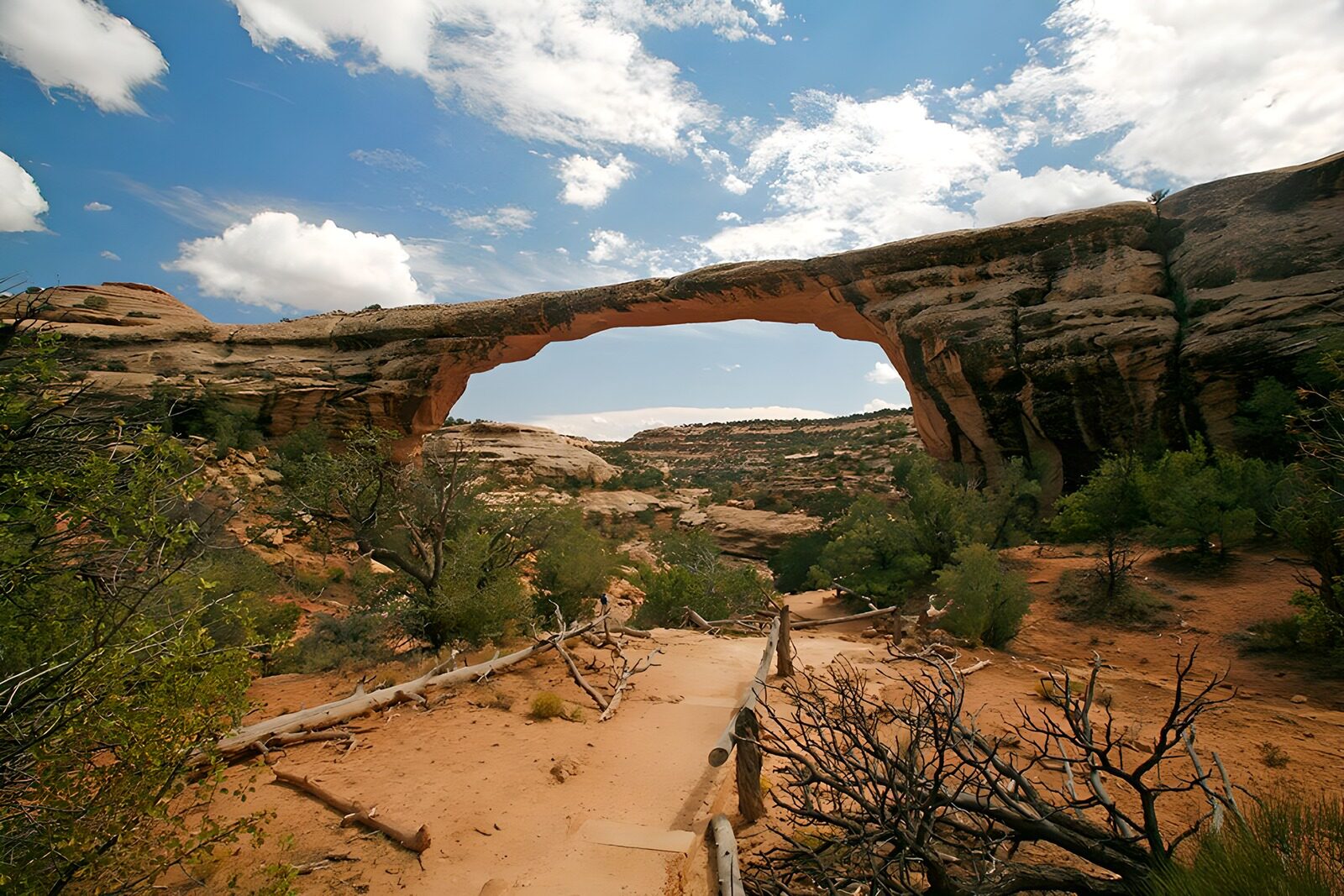 OCUK65373: Natural Beauty of Arches National Park