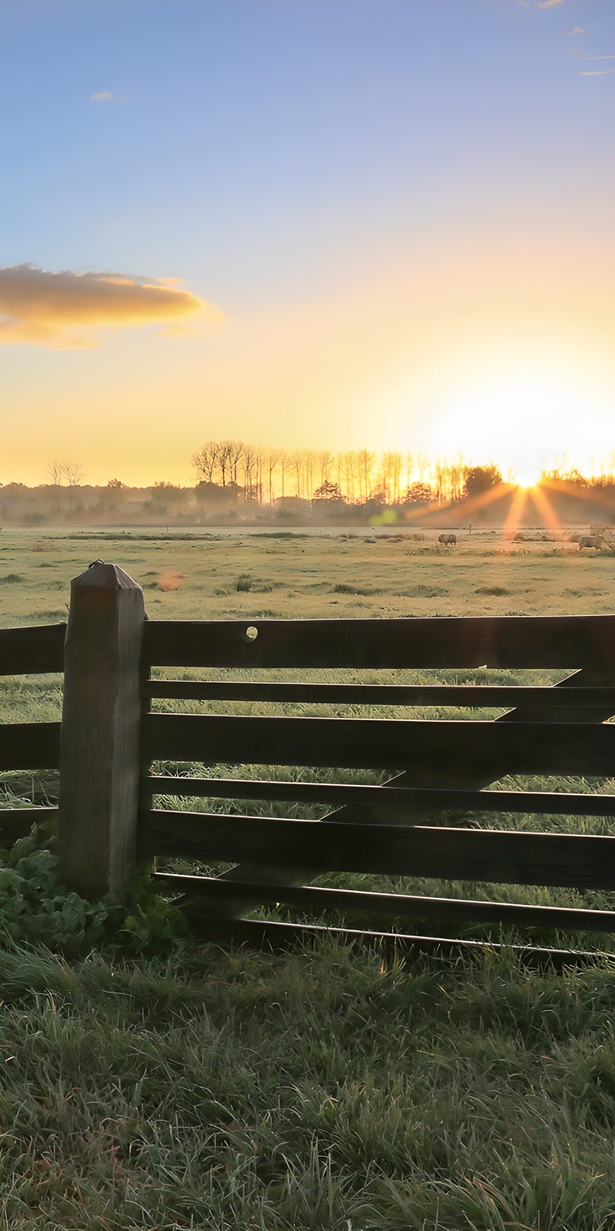 OCUK11449: Sunrise Over Tranquil Pastures