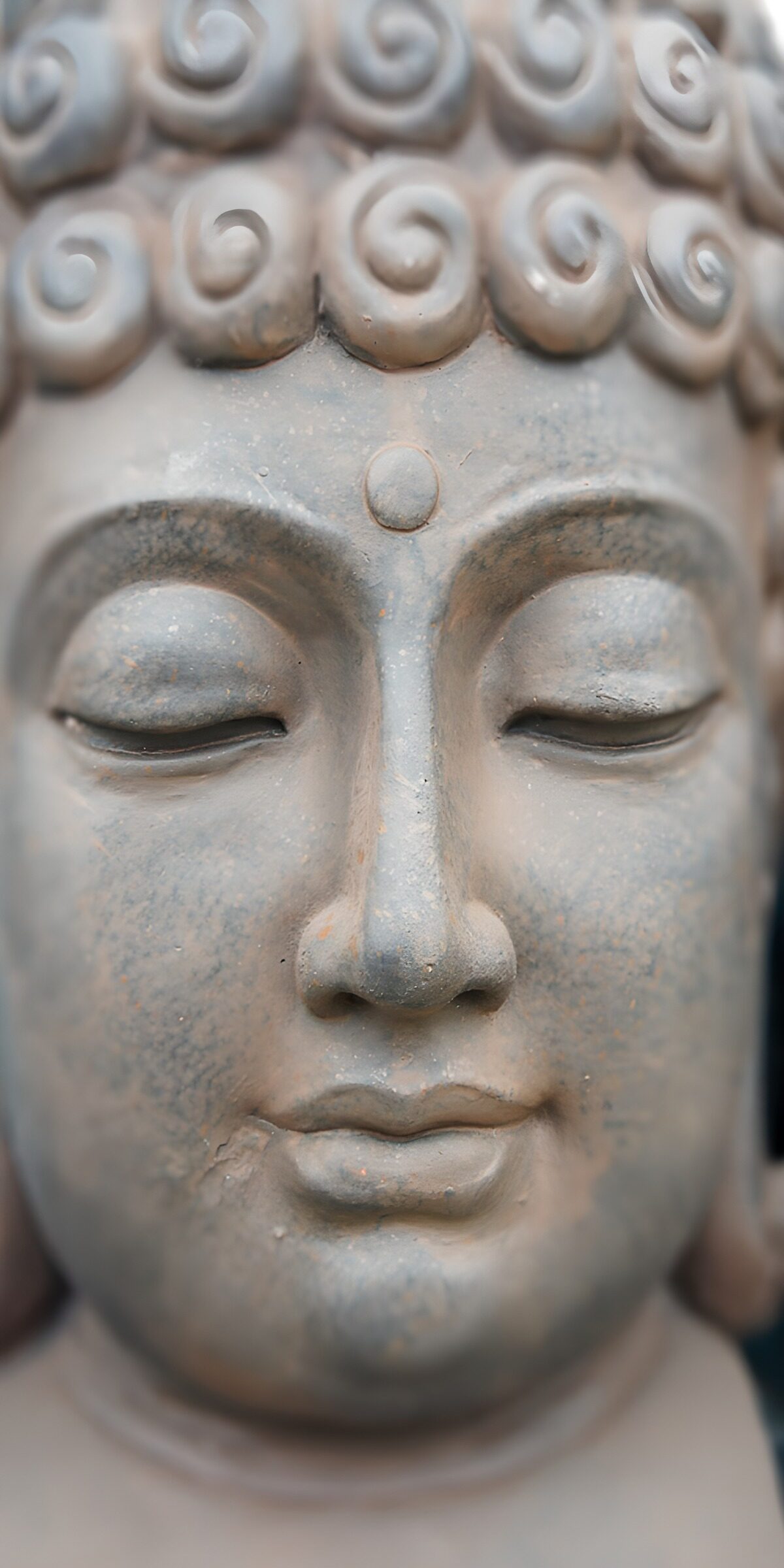 OCUK46452: Serene Buddha Face