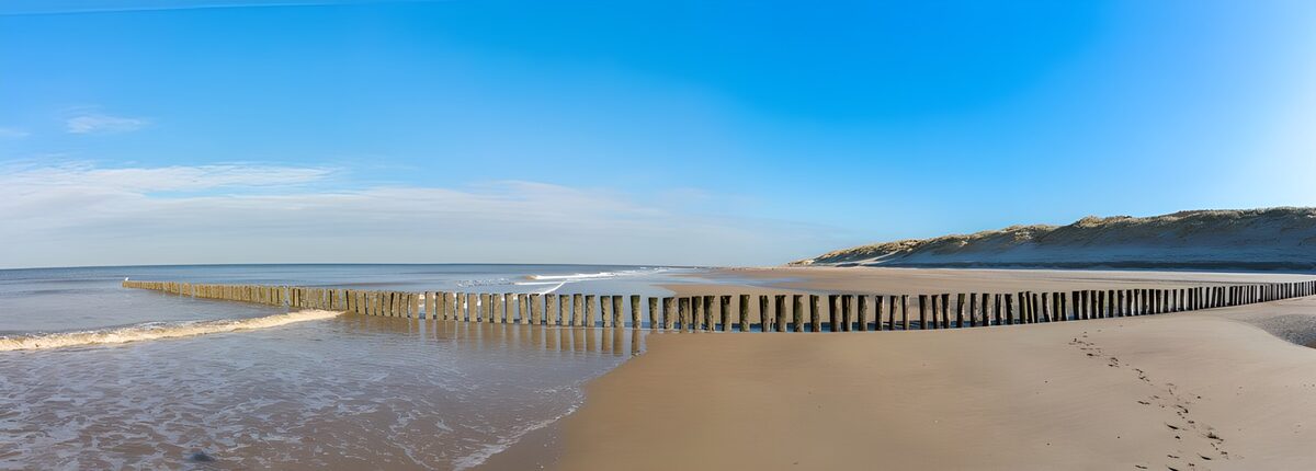 Long row of beach poles at a beach in