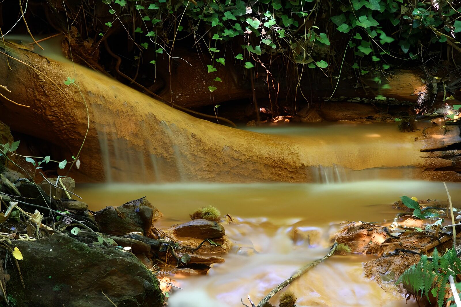 OCUK20492: Tranquil Flowing River in Nature