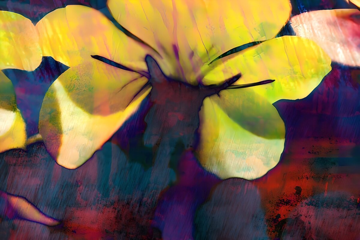 Flower photo 49