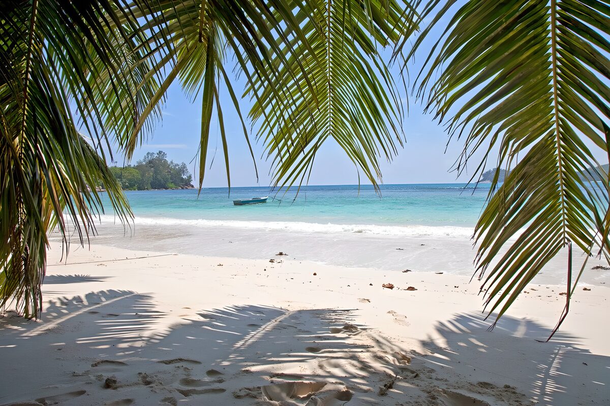 OCUK65237: Tropical Beach Paradise
