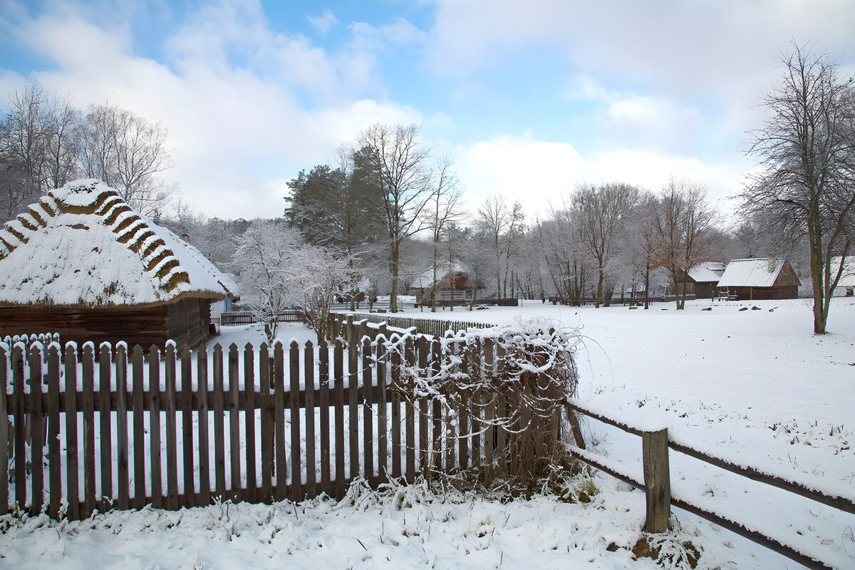 OCUK74281: Winter Serenity in a Rural Landscape