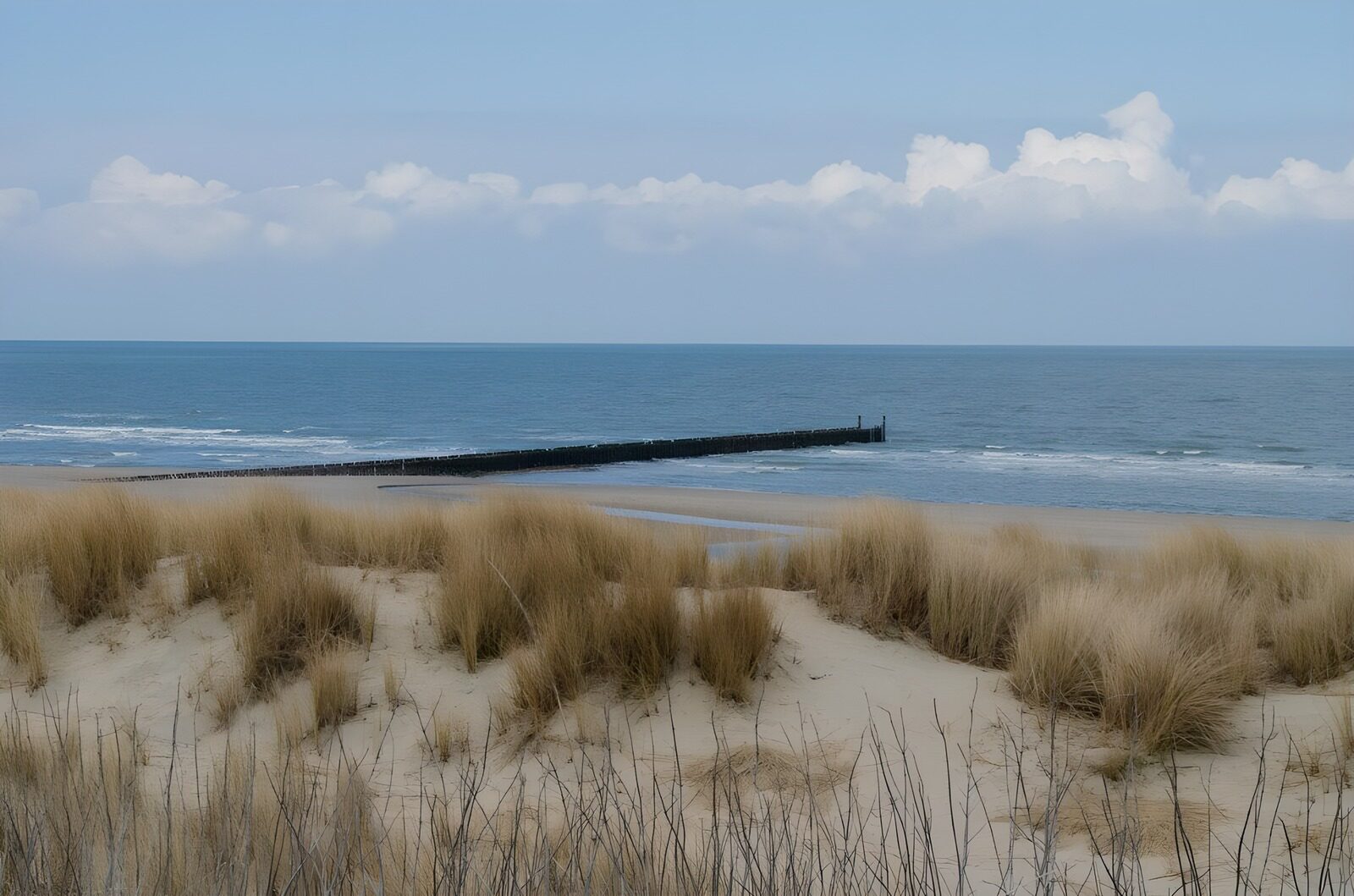 OCUK71241: Tranquil Beach and Dunes Landscape