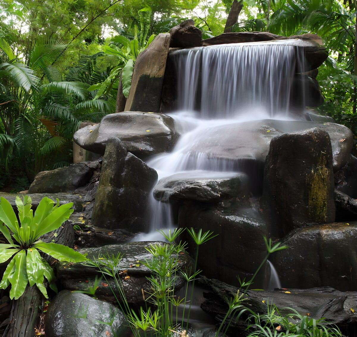 Serene Cascade in Lush Greenery