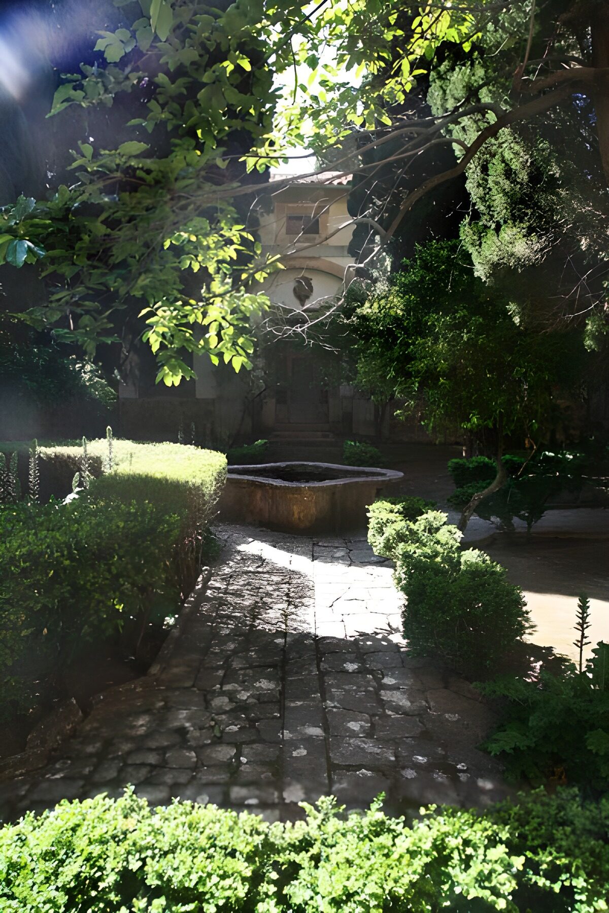 Fountain with hedge, path and trees