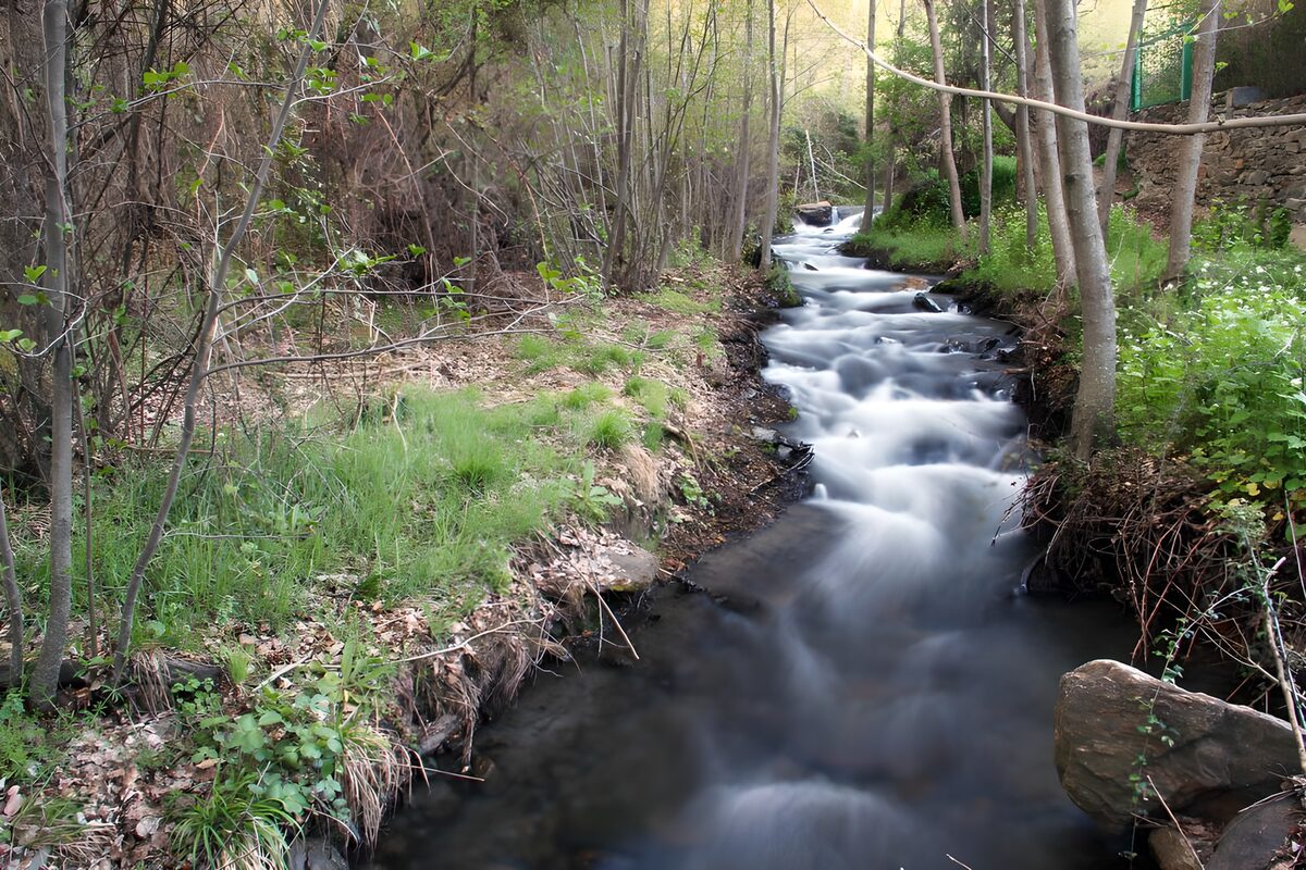 OCUK50974: Tranquil Stream in a Forested Landscape