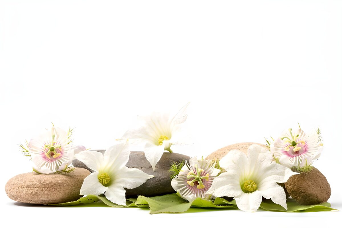 OCUK37318: Serenity in Bloom with Stones