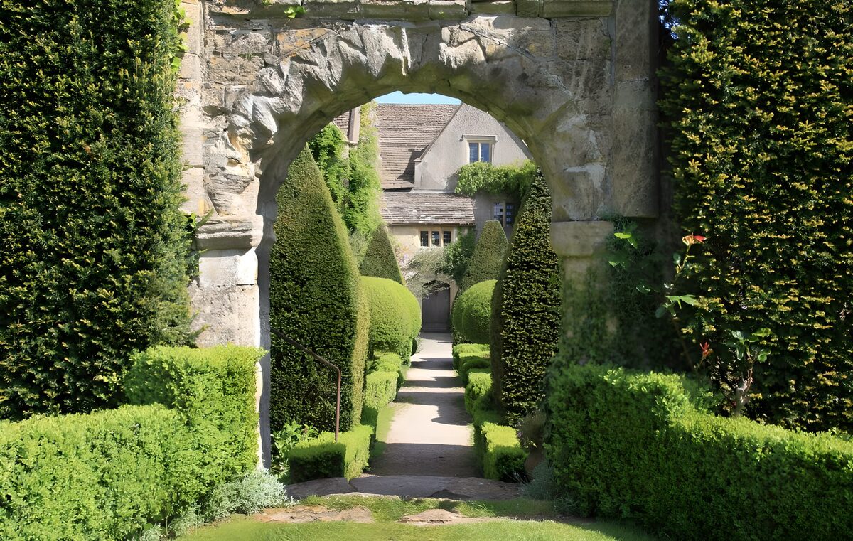 OCUK71083: English garden with a pathway and conifers