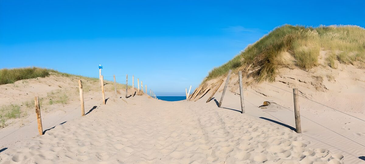 OCUK80162: Sand path to the sea in