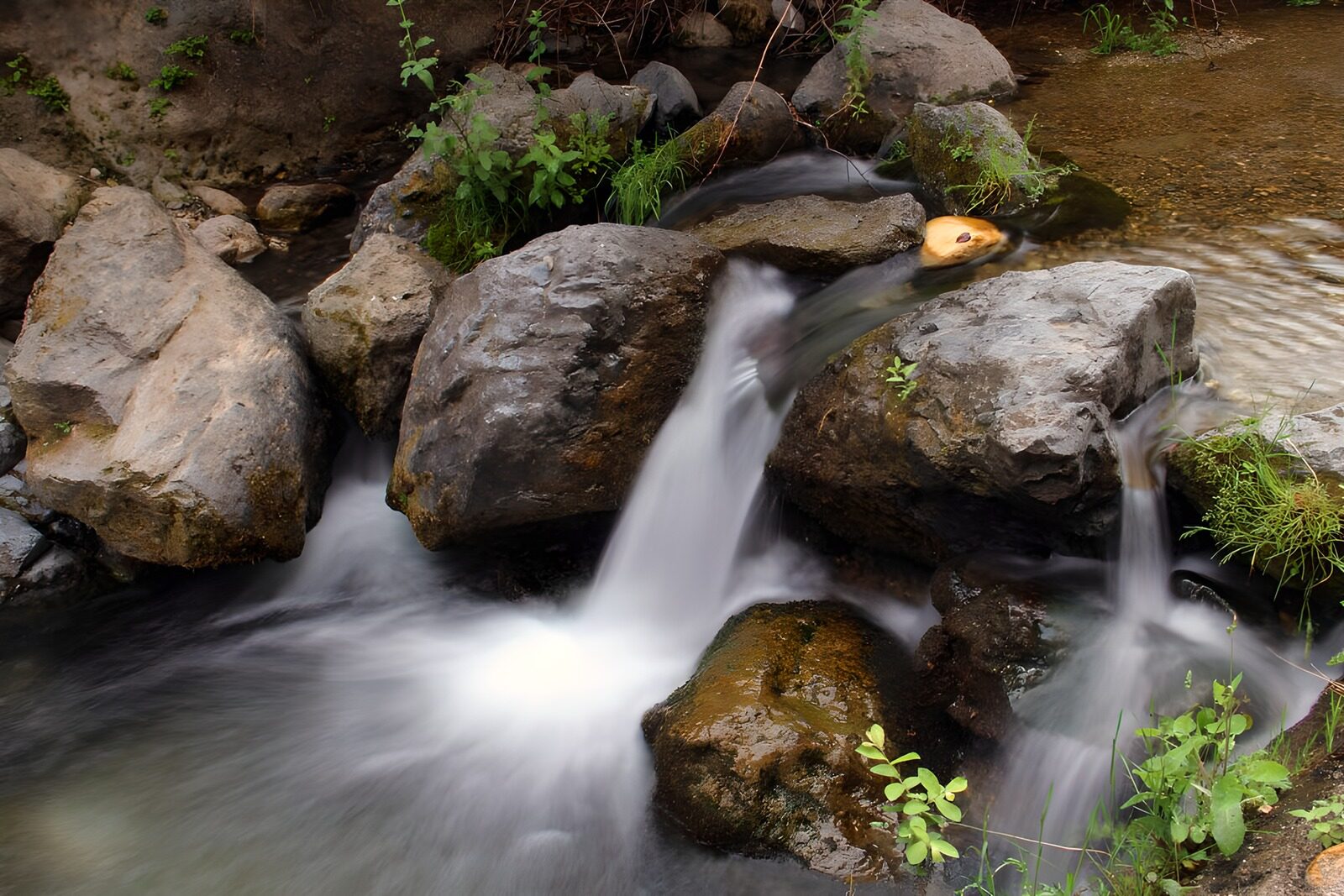 OCUK37850: Serene Stream Flowing Over Rocks