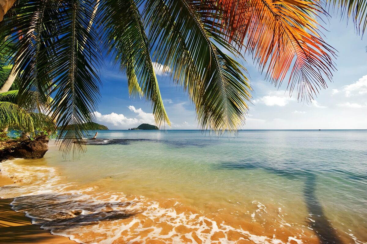 OCUK61984: Serene Tropical Beach Paradise