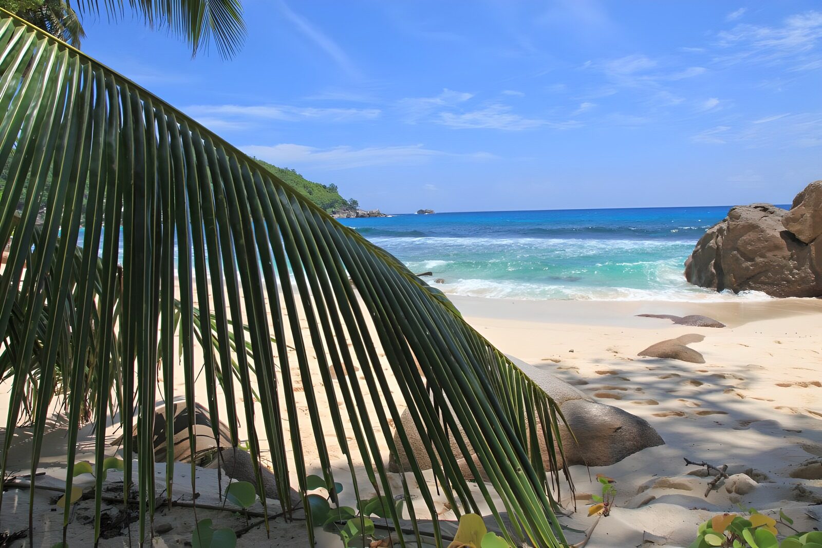 OCUK84822: Tropical Beach Paradise
