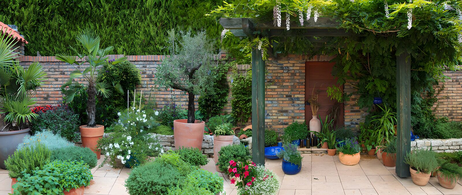 OCUK19514: Lush Garden Oasis with Vibrant Flora