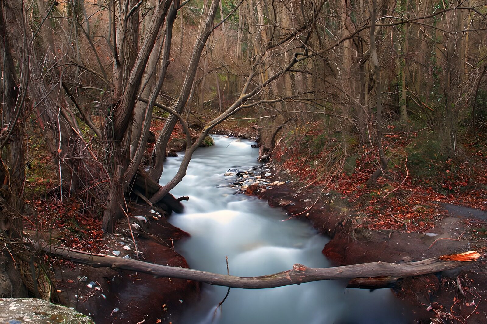 OCUK86801: Serene Stream in a Tranquil Forest