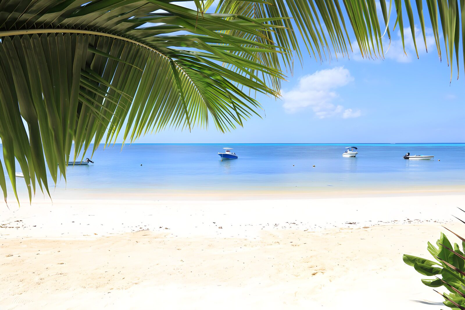 OCUK88382: Serene Coastal Escape