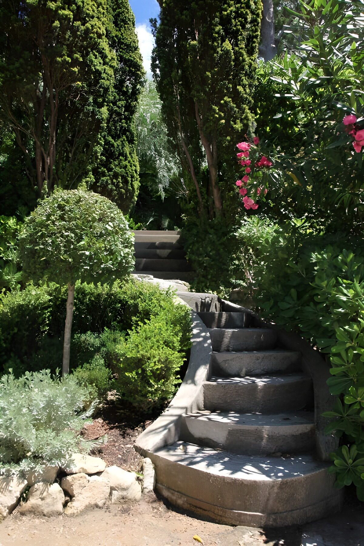 OCUK51850: Serene Garden Pathway