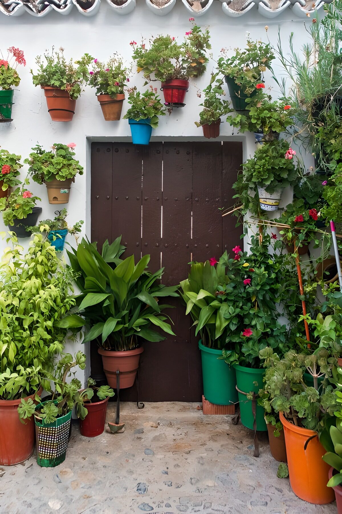 OCUK42484: Brown door surrounded with flowers