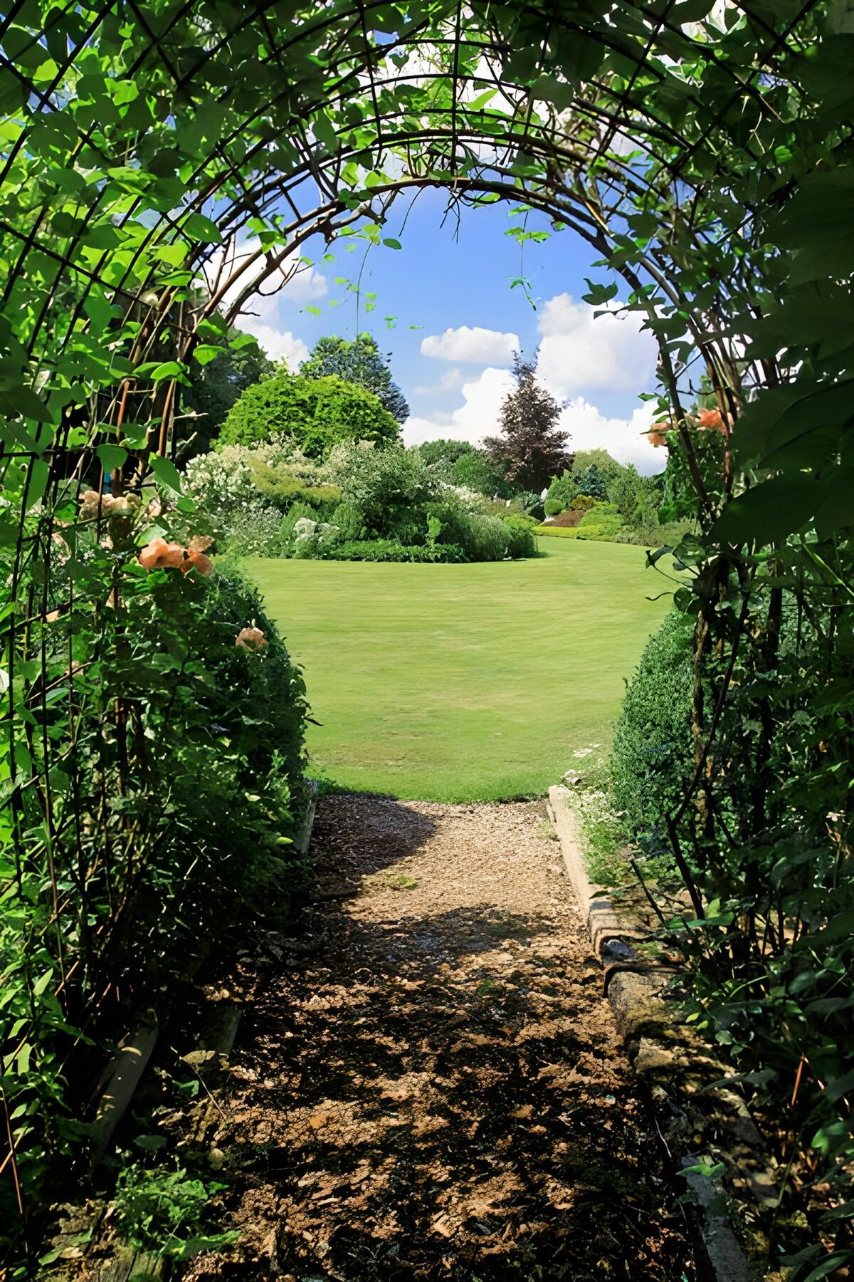 OCUK21171: Path with arch of Ivy to the garden