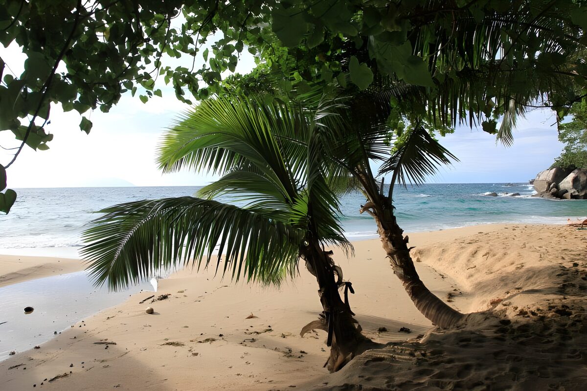 OCUK65165: Tranquil Beach Oasis