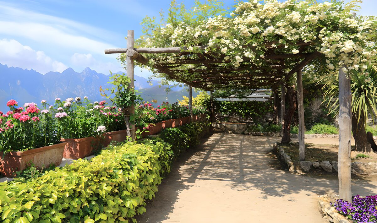 OCUK19587: Serene Flowered Pathway in the Mountains