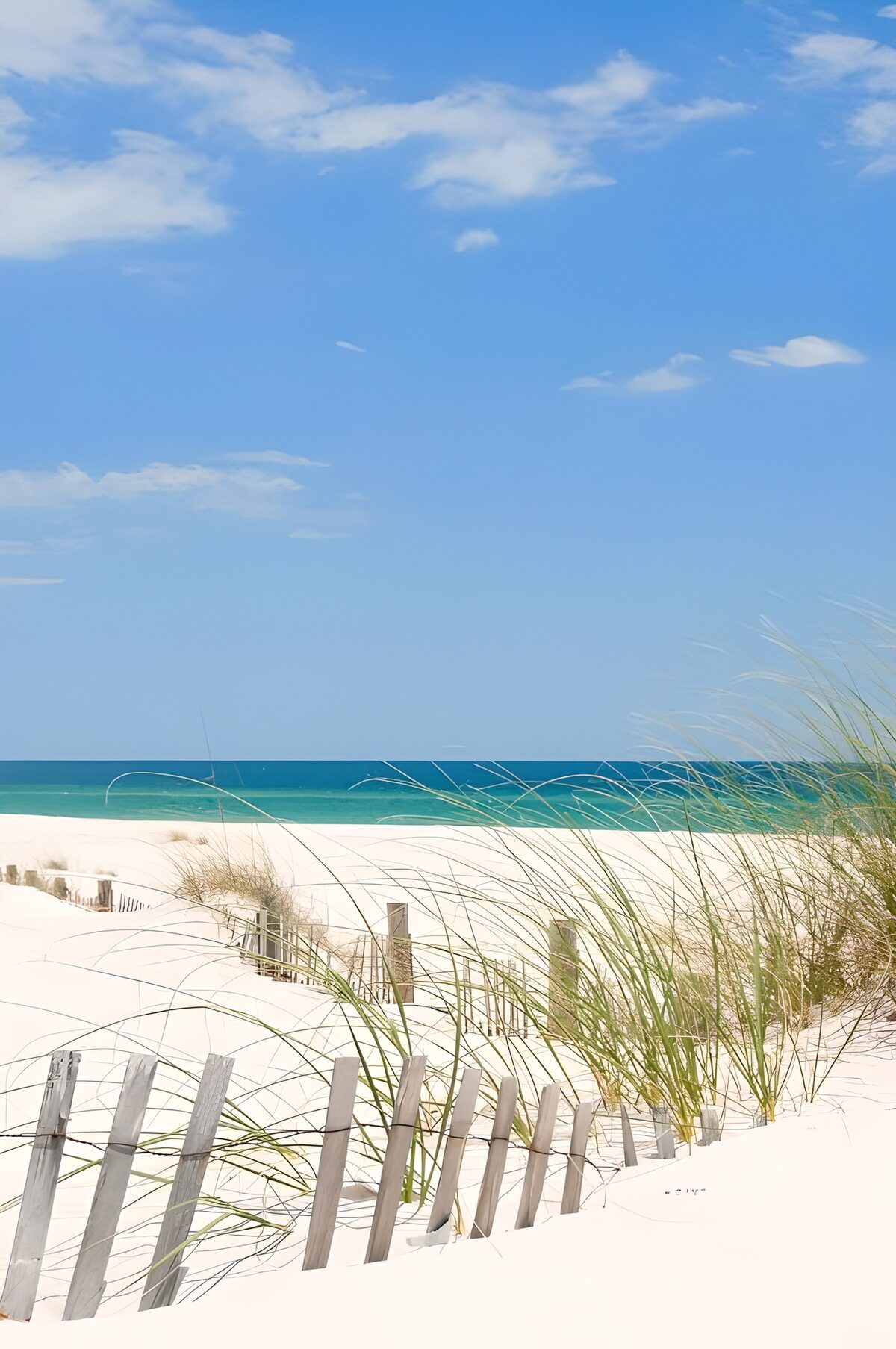 OCUK59045: Serene Coastal Dunes in Bright Sunshine