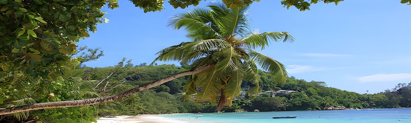 OCUK20751: Serene Tropical Paradise